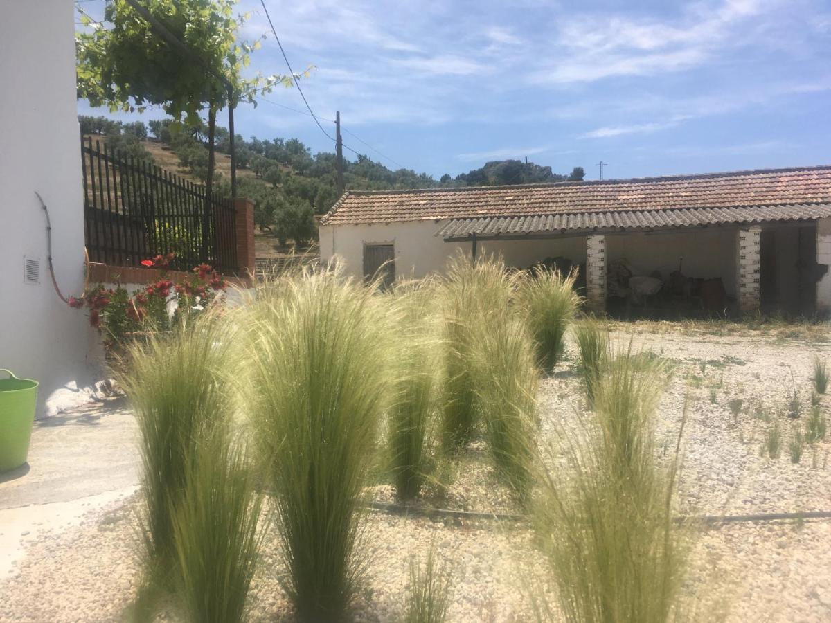 New Leaf Cortijo Apartment ,Moclín Extérieur photo